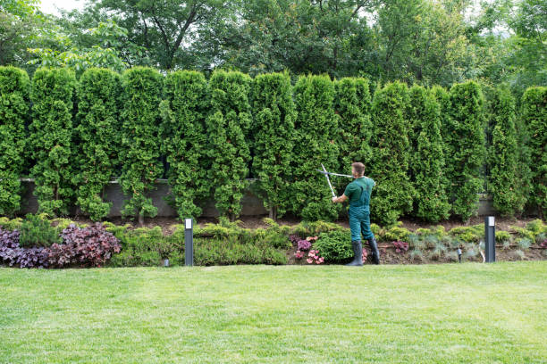 Landscape Design and Installation in Bloomfield Hills, MI